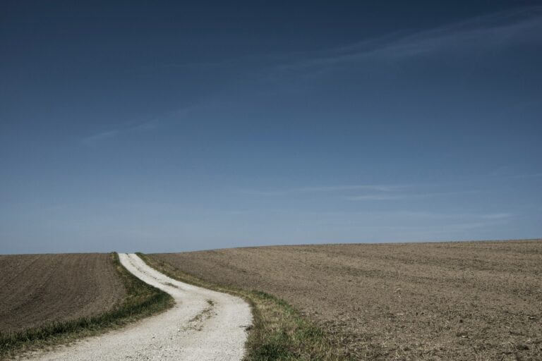 Werden im Landkreis Dillingen zu viele Feldwege geteert?